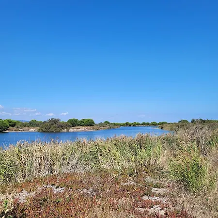 Entre Et Etang